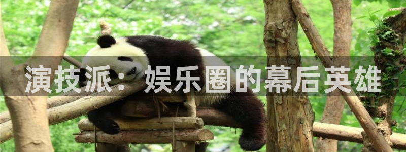 摩登7：演技派：娱乐圈的幕后英雄