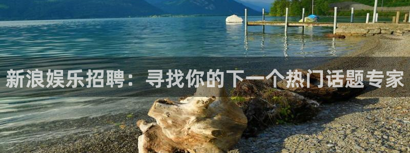 摩登7平台：新浪娱乐招聘：寻找你的下一个热门话题专家