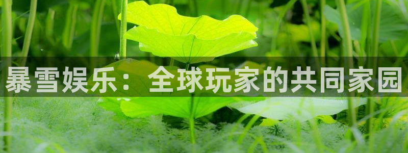 摩登7登录：暴雪娱乐：全球玩家的共同家园