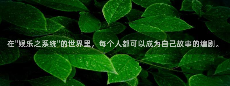 摩登7lite登录入口：在\