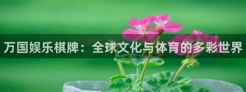 摩登7 lite注册：万国娱乐棋牌：全球文化与体育的多彩世界