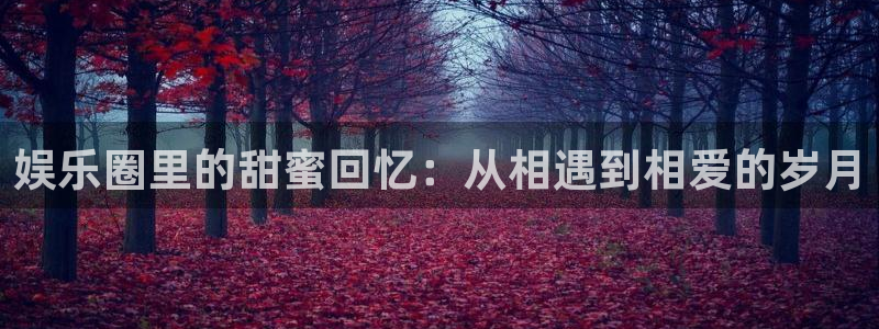 摩登7登录官网：娱乐圈里的甜蜜回忆：从相遇到相爱的岁月